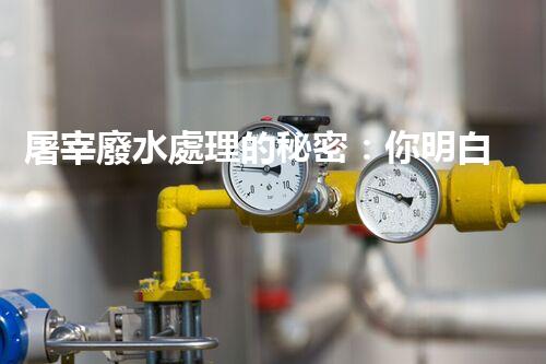 屠宰廢水處理的秘密：你明白那些污水如何變清？